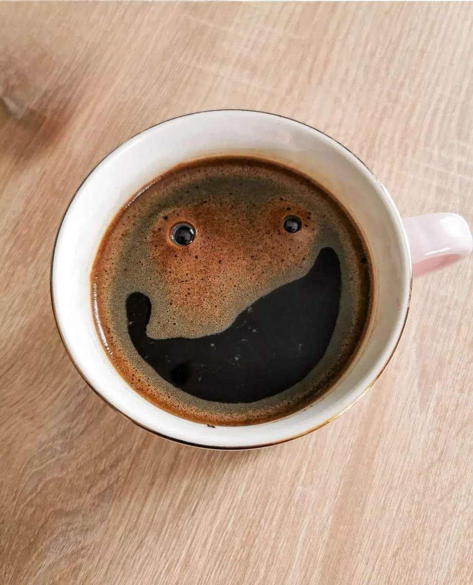 IrenaBuzarewicz's tweet photo. Good morning https://t.co/StXjvP0aRY