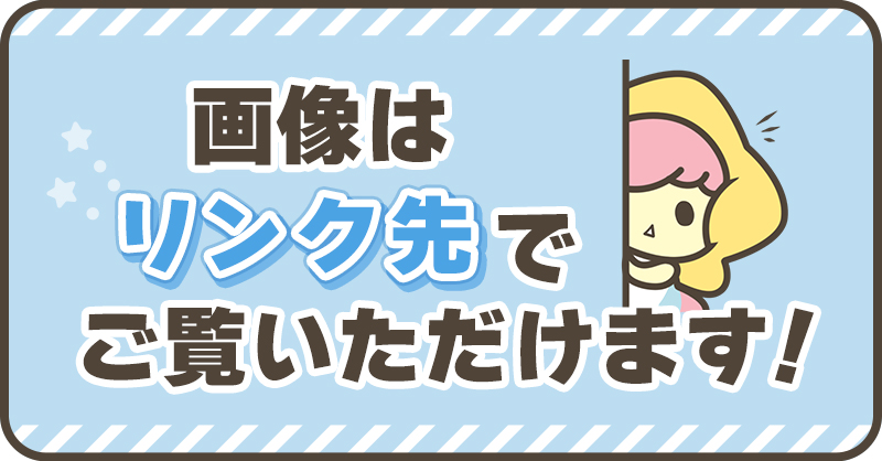 📢 通販 再入荷しました✨ ＼ 【Switch】 #贄の町 いろむすび 🔻ステラ