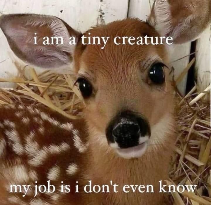 deershouldnt's tweet photo. Goodnight https://t.co/HClCCZpNr6