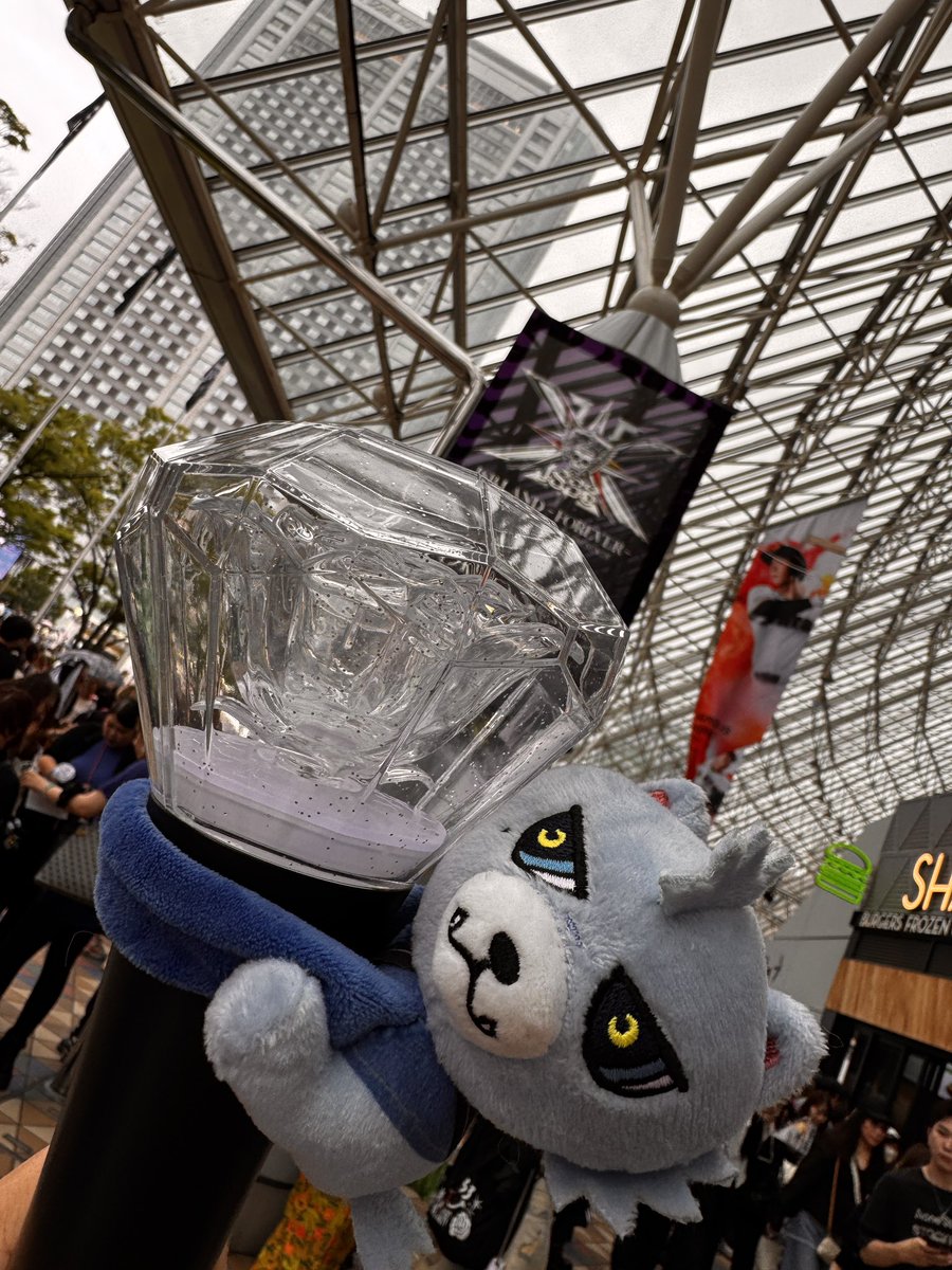 asa12mickey's tweet photo. CDLPOPUP、東京2days、ディズニー
楽しい1週間だったな〜❤️ https://t.co/hR8Btby4wT