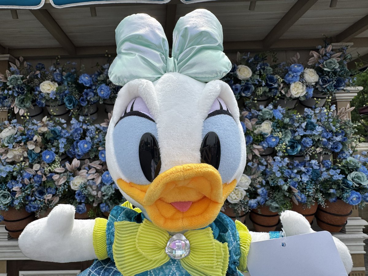 asa12mickey's tweet photo. CDLPOPUP、東京2days、ディズニー
楽しい1週間だったな〜❤️ https://t.co/hR8Btby4wT