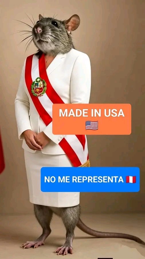 pernn5000000's tweet photo. @BernieNavarro7 https://t.co/uMI8s8LNg5