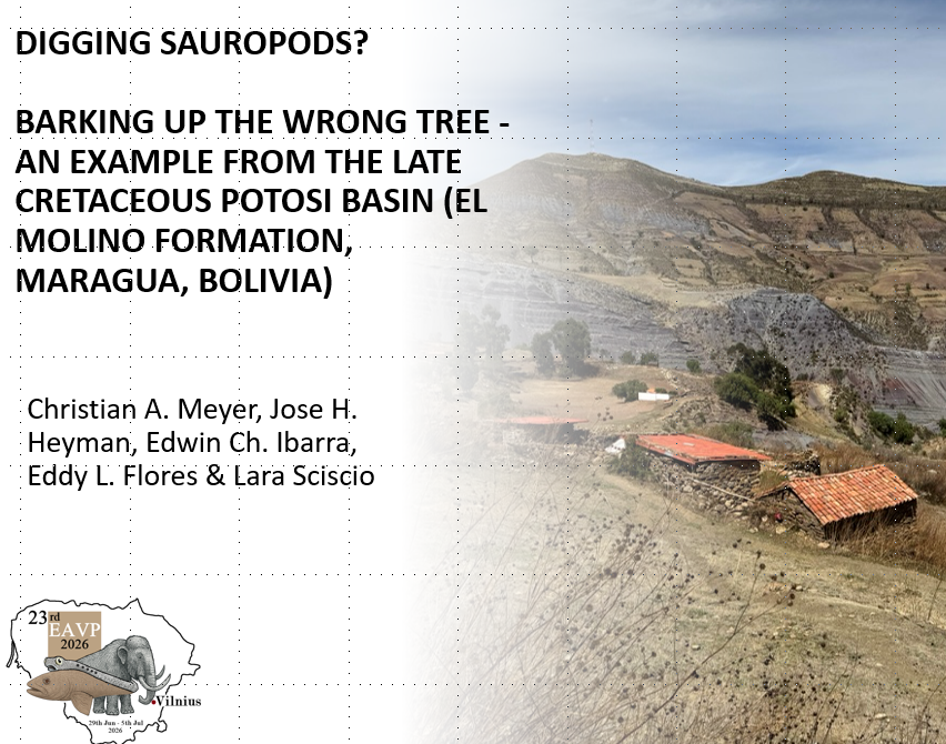 EAVPalaeo's tweet photo. Another #ichnology talk at #EAVP2026 this morning! Honorary President Christian Meyer looks at an unusual structure made by sauropods from the Late Cretaceous Potosi Basin in Bolivia. Big dinosaurs & unusual behavioural questions. https://t.co/M3a6abmVNl