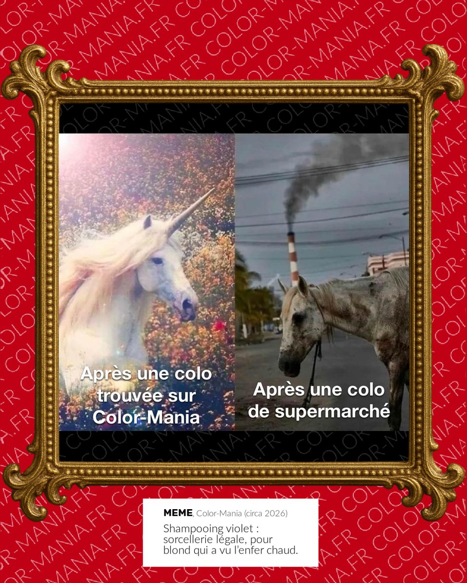 color_mania's tweet photo. Pour les colorations, il y a Color-Mania... Pour tout le reste, il y a le supermarché. 𝗙𝗼𝗹𝗹𝗼𝘄 𝗽𝗼𝘂𝗿 𝗹𝗮 𝘀𝘂𝗶𝘁𝗲. #mdr #memes #hairdye https://t.co/5nxCXHxyfY