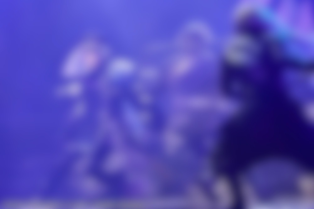 stage_touken's tweet photo. 【刀ステファンサイト】

公演メモリアル
＜舞台『#刀剣乱舞』士伝 真贋見極める眼＞を更新📸✨

先行調査員でありながらも、負傷した水心子正秀を助けるために、戦場を駆ける #源清麿 のショットです！

ぜひサイト内でチェックしてください！
⇒ https://t.co/W57W6udRI2

#刀ステ https://t.co/ajmZ00pPrF