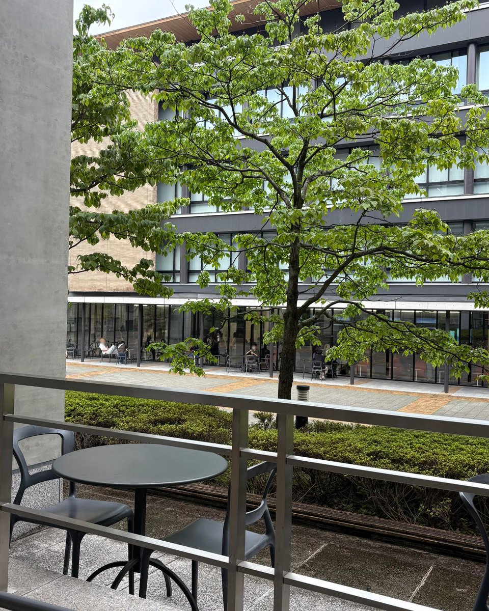 otaniuniv_staff's tweet photo. ＼ OTANI’S VIEW ／

／
2026年7月
#大谷大学#きょうのことば
仏教は古いどころか常に新鮮である。
＼

本学教員が「伝道掲示板」の解説文を執筆しています。
▶️ https://t.co/MzPHUKeqaZ

#大谷大学 #大谷 #きょうのことば #7月 #北大路 https://t.co/GZU1T8YD9O
