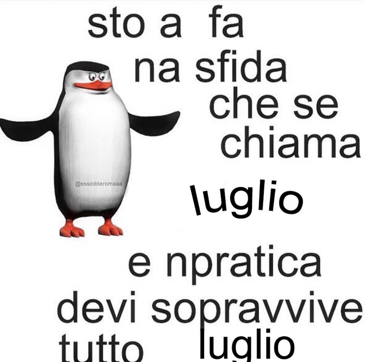 bartobonelli's tweet photo. Eccoci qua https://t.co/uUcl5Up5wi