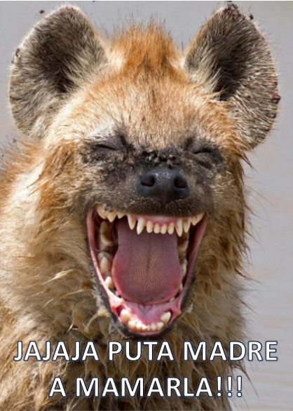 carlosvertti's tweet photo. @Soldadodelidolo https://t.co/BGwcu2Uay0