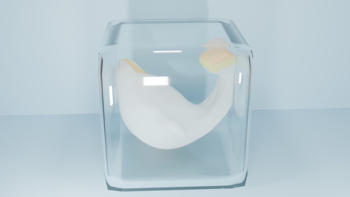 kinoko_Rezero's tweet photo. マナティの瓶詰め
blenderむずかしい... https://t.co/TnLHCIpEJY