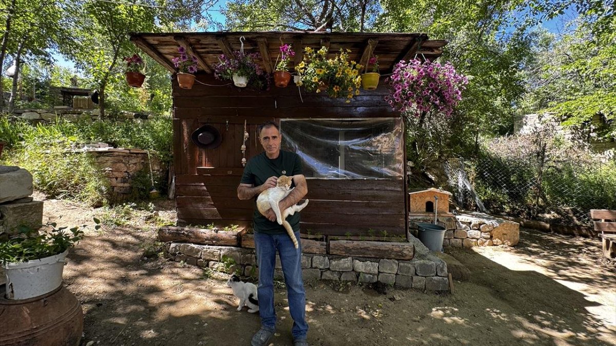 gztcom's tweet photo. 🔴Elazığ'da tarihi Harput Mahallesi'ndeki bahçesini turistik işletme olarak gelir sağlamak yerine sahipsiz hayvanlara yuva yaptı https://t.co/tlwEEmYbfA