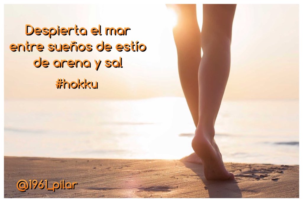1961_pilar's tweet photo. Un nuevo amanecer ¡Buenos días!

Despierta el mar...

~hokku~

#LYF15  #VAFlorDePiel https://t.co/YvcjUlXcB9