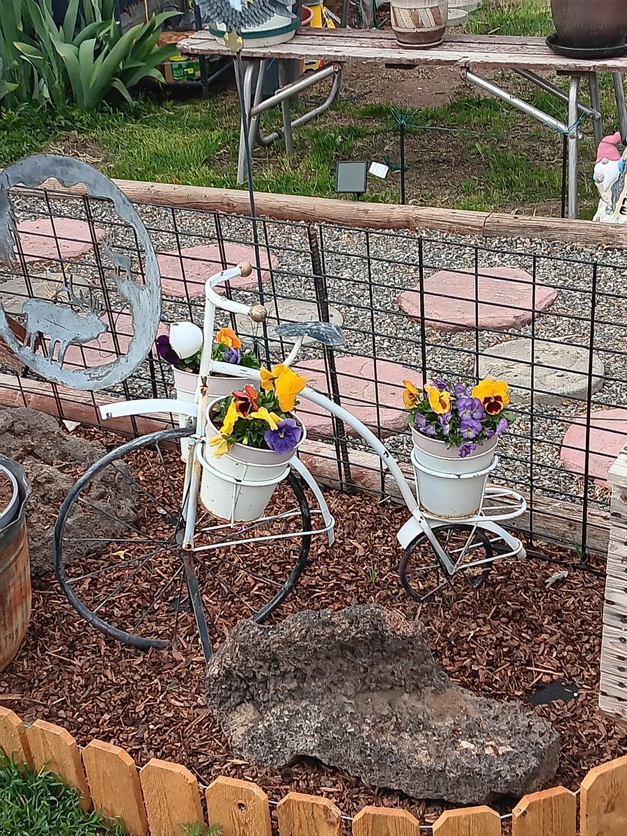 Breethathole's tweet photo. Love flowers https://t.co/ZGxDwjIbvo