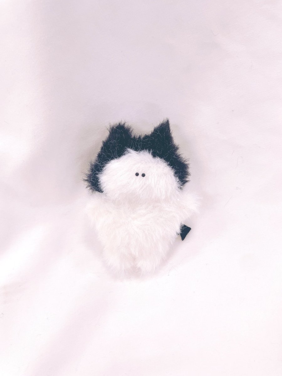 monyuchouchou's tweet photo. デビベイビー
ぽんぽんが可愛い🖤 https://t.co/9kJ2onkEKj
