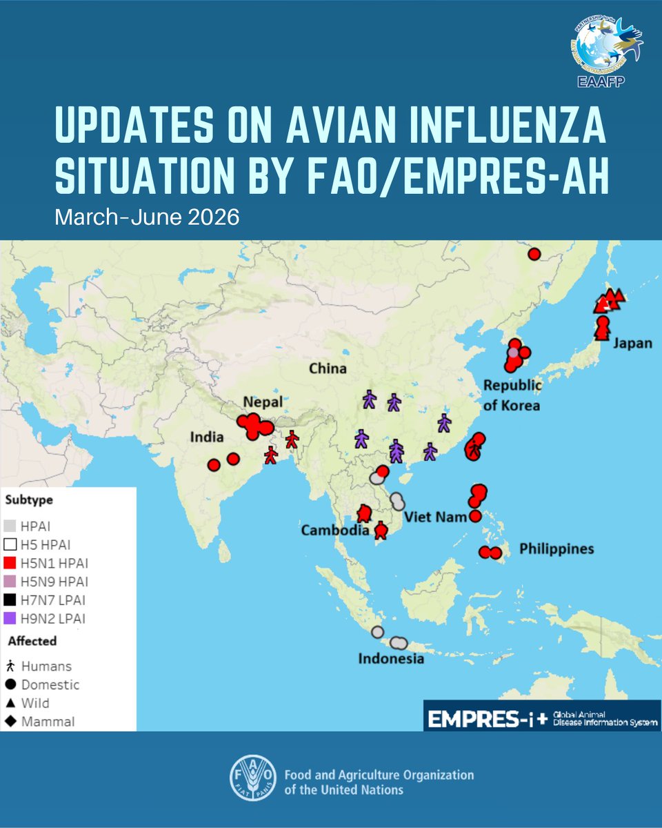 EAAFP tweet media