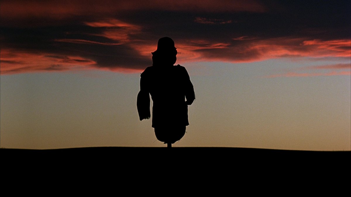 filmfr4me's tweet photo. Days of Heaven (1979)
director: Terrence Malick https://t.co/GwX1QqOn6Z