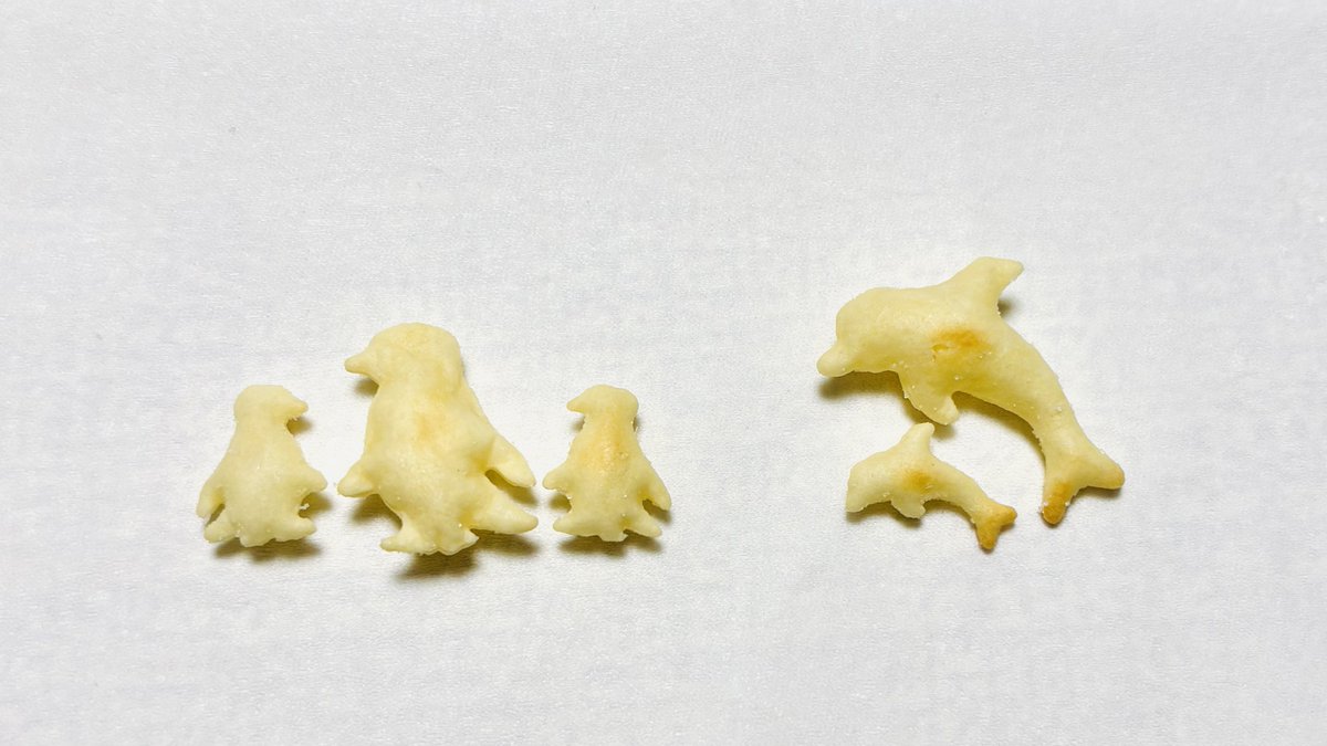 _AkR__'s tweet photo. おっとっと久しぶりに食べたけど、可愛いのいる〜💕🐧🐬 https://t.co/HDVw2PUMNN