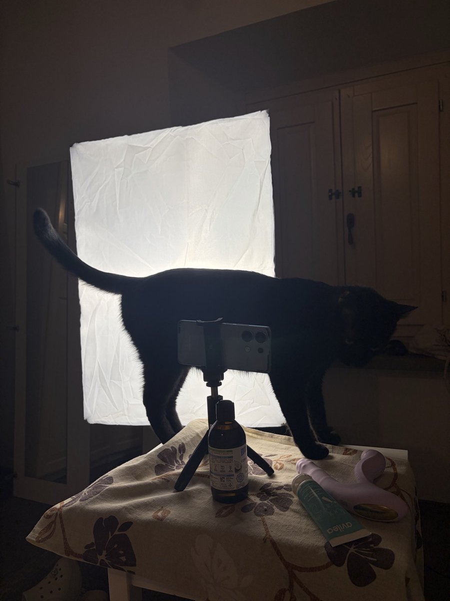 CLayla00's tweet photo. Miao si gira 🎬 https://t.co/2HeZUjLtpX