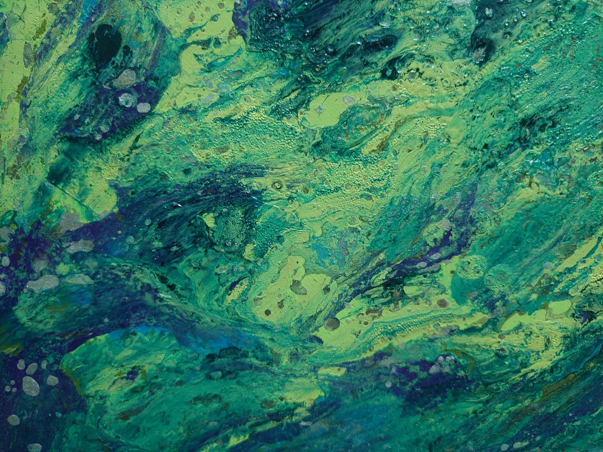 No.494