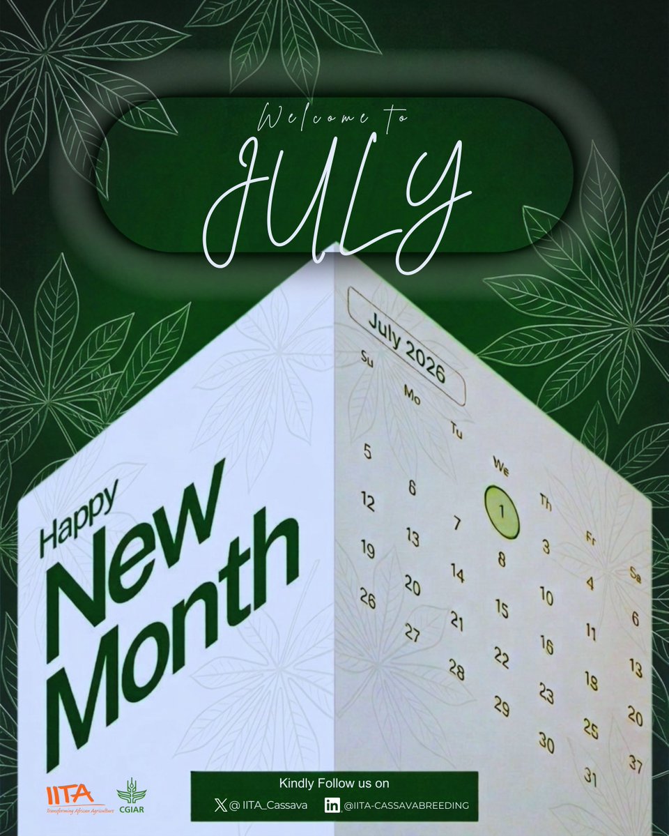 IITACASSAVAUNIT's tweet photo. Happy New Month! Welcome to July. Wishing you a month of growth and accelerated impact.
#HappyNewMonth #July2026 #NewMonth #CassavaBreeding #AgriculturalInnovation #FoodSecurity #IITA #GrowthMindset #AfricaAgriculture #ImpactDriven #ScienceForLife #YouthInAgriculture https://t.co/LyF71jSrzo