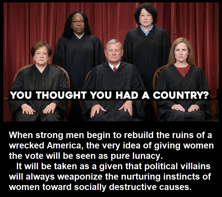 Matt_Bracken48's tweet photo. Yes, I know, there are millions of great conservative women. But the net result of universal suffrage has been the destruction of Western civilization over the past century. This is undeniable. Just open your eyes.
     And in any case, it may take decades or longer for any form of elective democracy to return after the collapse of Western civilization. Following the collapse there will be a period of anarchy, and then warlordism.
     The idea of elections will not even be entertained until after a sustained period of civil order, with hunger and fear in the murky past. This may take generations.