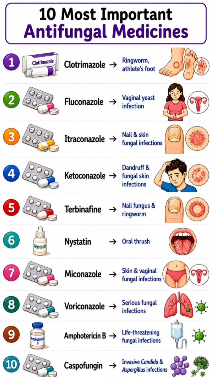 Nursingmedicos's tweet photo. 🦠 Most Important Antifungal Medicines Every Medical Student Should Know 💊
Fungal infections require the right antifungal medicine based on the type and severity of infection. https://t.co/UriZ0mfoJ9
