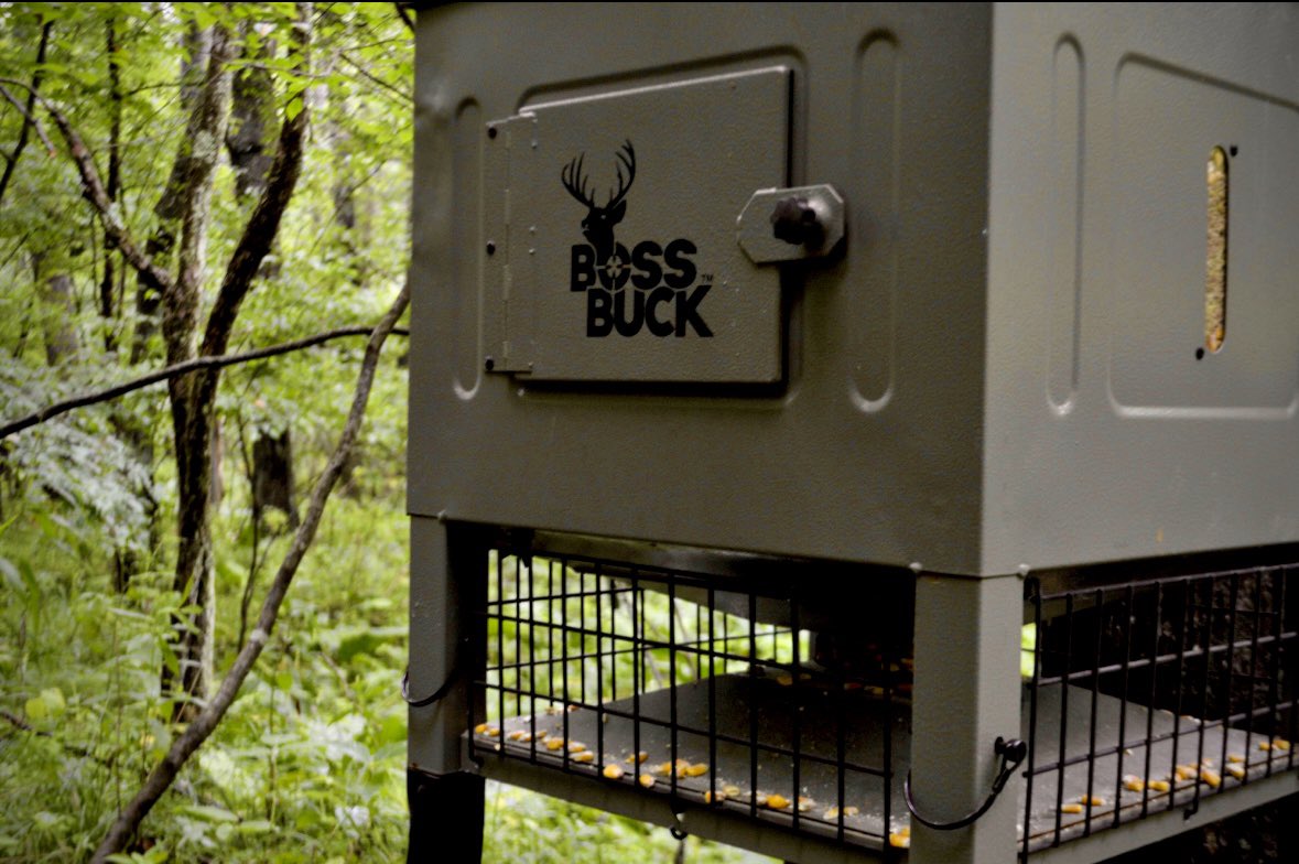 paboyzoutdoors1's tweet photo. How's your offseason feeding program going?
π¦: @BossBuckFeeders
#bossbuck #hunting #offseason #pahunting #whatgetsyououtdoors https://t.co/cYPSZGPzIn
