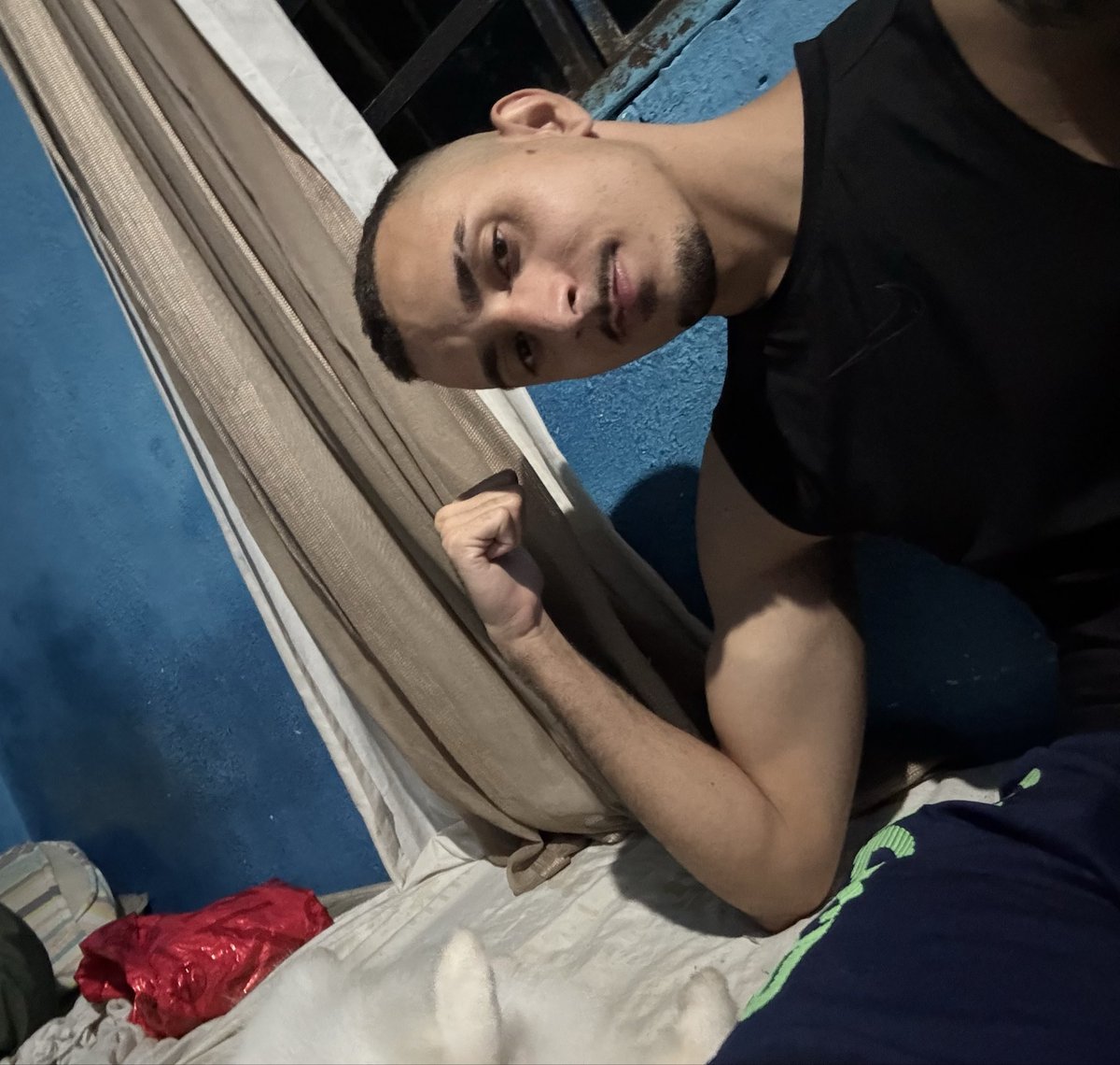 Diego tweet media