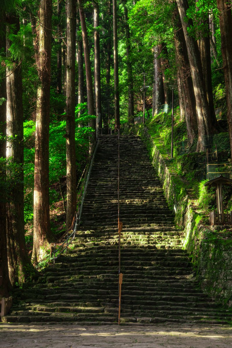 Hayate matsuo (@Hayate_canon) / Posts / X