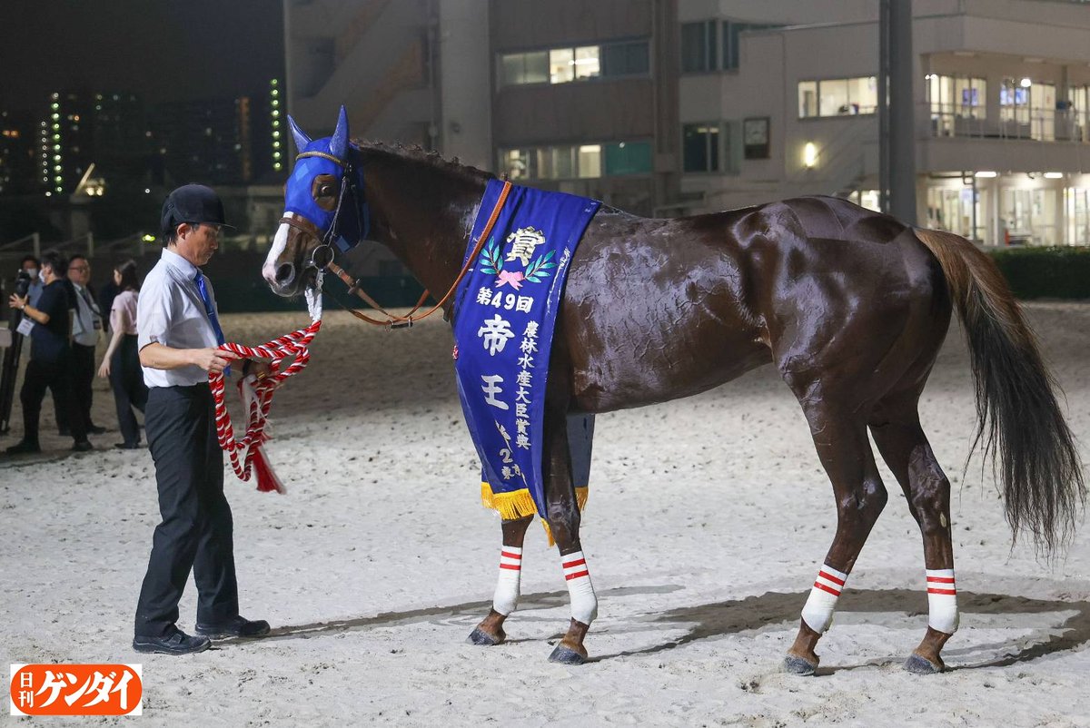 gendai_keiba's tweet photo. 低脂肪の筋肉美──。
帝王賞連覇のミッキーファイトを。奇麗に血管が浮いています。
#ミッキーファイト #帝王賞 https://t.co/dSwRNpkW2g
