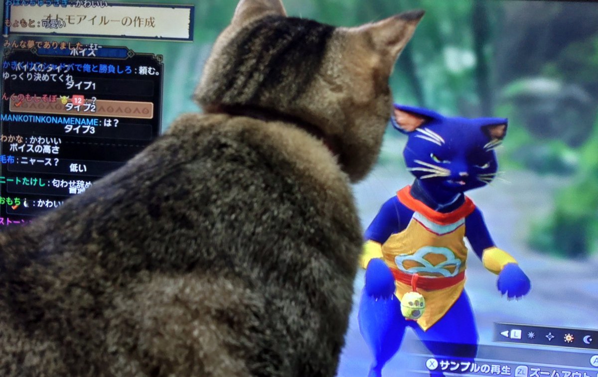 0in3's tweet photo. おはよう猫ちゃん https://t.co/vz8B4zjpey