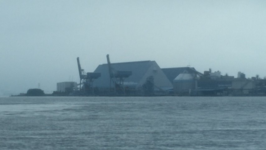 Fujiya228's tweet photo. 台風🌀の影響もあり、昨日までなんと6連休となっていました。
今日は２組３名様がお見えになり、折戸方面浅場へとご案内！
ゴミが多く浮遊しているかと思いきや、割と少なかったですね。
濁りというか海の色が淀んでいましたね。
それでも全員が30㎝前後のクロダイをゲット‼️
大コショウダイもゲット‼️ https://t.co/ArhCt4F3Vd
