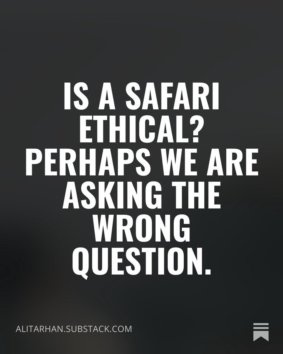 aliitarhan's tweet photo. What if the purpose of a safari isn’t simply to see wildlife?

What if its greatest value lies in changing how we see ourselves within nature?

Full article is below. 👇🏼 

https://t.co/o4tpMfc1e1 https://t.co/V7lMd4ocJm