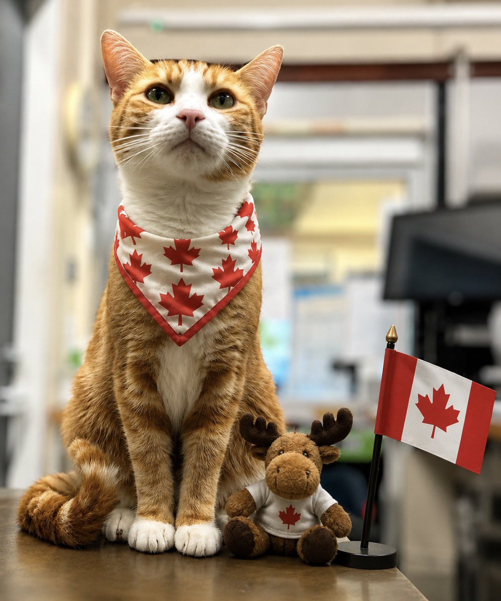 TheStourbridge's tweet photo. 🇨🇦 Happy Canada Day to all my lovely friends across the pond! 🐾

Wishing you a day filled with maple syrup, and lots of Canadian pride! 

Happy Canada Day! 🍁

#Canada https://t.co/hPh6XnPrAn