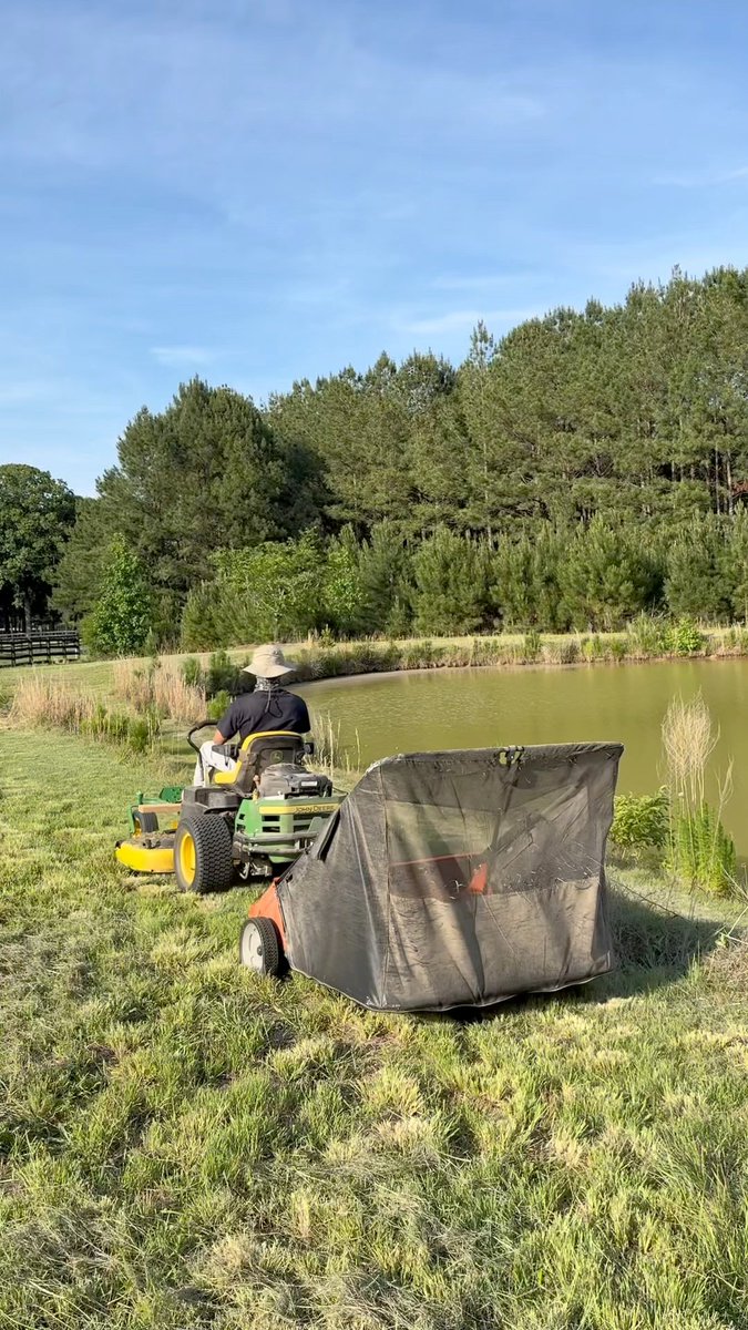 Anne1_Warm's tweet photo. Watching someone else mow the lawn is actually quite interesting. https://t.co/I06pogaLmj