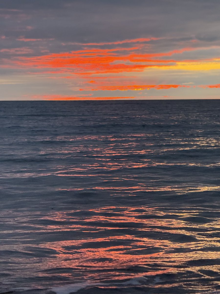 MarcD_Weegem's tweet photo. Hello, July. 👋
.
#ireland #stormhour #ThePhotoHour #sunrise #wicklow #dogsofx #greystones #irelandsancienteast #KeepDiscovering https://t.co/6dN8qYC0IT