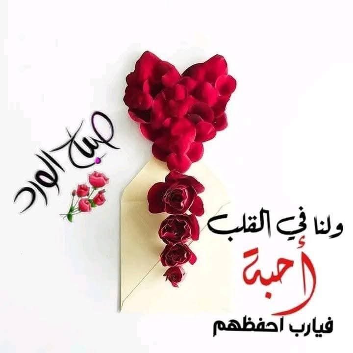 nawaralsafe's tweet photo. https://t.co/ONoH1Ivk8p