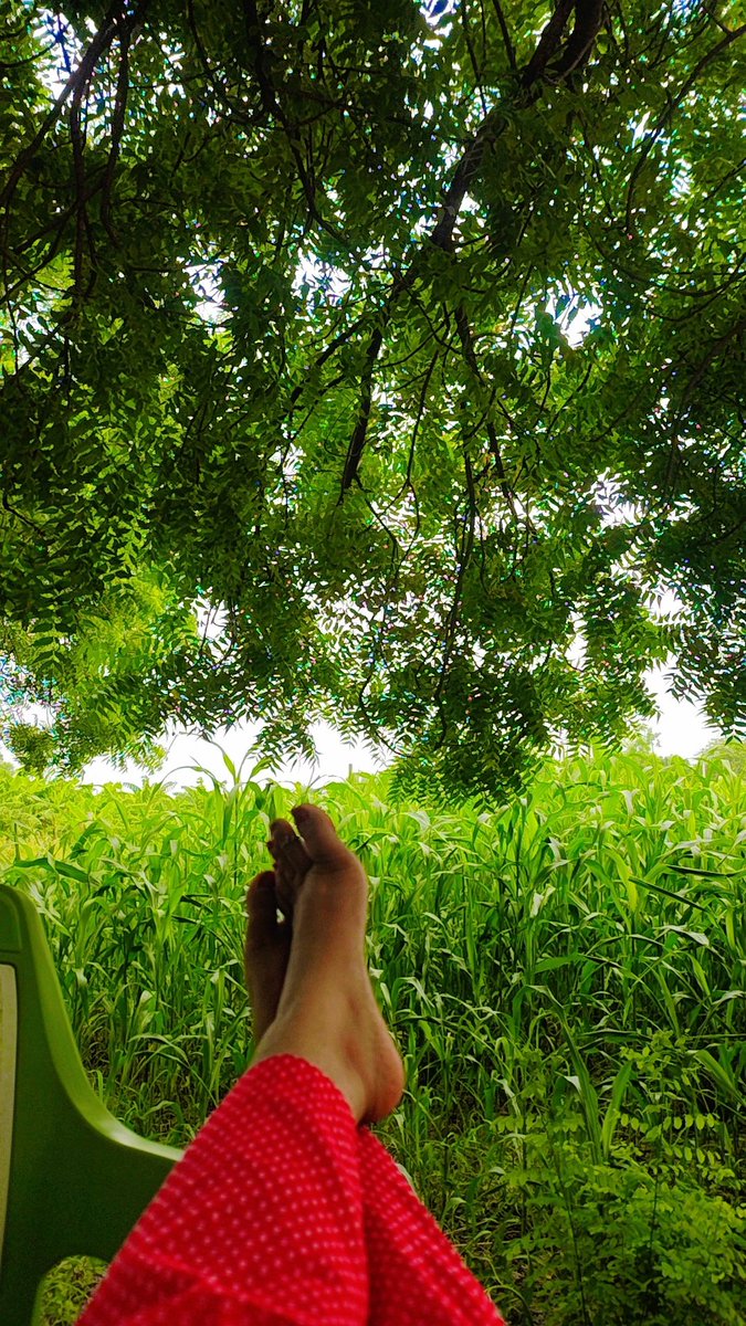 Dhurwa23's tweet photo. आज फलानी फुल विश्राम पे 😌 https://t.co/TJ4qPWcVda