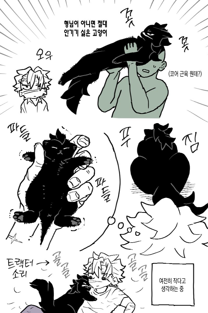 realbloodtasty's tweet photo. 우리집 고양이 돼지 https://t.co/Jihkmh7VBw