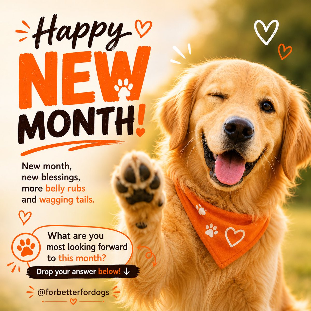 forbetterfordog's tweet photo. Happy New Month July #DogLovers!!!
#july2026 #dogfans #dogs #dogcommunity #happynewmonth https://t.co/A9iccx0zgc