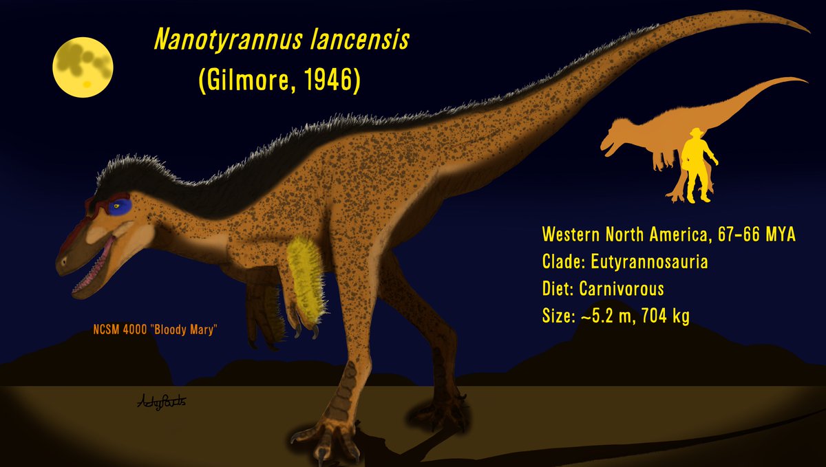 AchyParts's tweet photo. About time for an introduction!
I'm interested in paleontology, earth sciences in general,  and media such as JJBA, Minecraft, and others. I also post art as well, mostly paleoart, although if you just want that check out my Cara page: https://t.co/NfB4Bko0mc https://t.co/lvAI6uEPYD