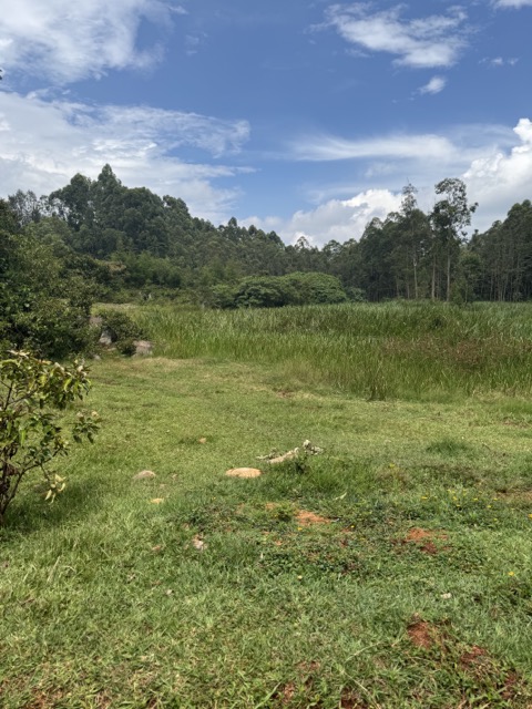 IndangasyBen's tweet photo. 🌿 YOUR NEXT RESORT INVESTMENT STARTS HERE! 🌿

Escape the ordinary with this prime 2.5-acre property in Kidundu, Vihiga County.

✅ Direct Transfer – Ready title
✅ Gently sloping terrain with excellent drainage
✅ Massive riparian frontage—a rare natural feature that adds beauty and value
✅ Perfect for a private resort, getaway, eco-lodge, Airbnb retreat, wellness centre, or dream countryside home
💰 Only KSh 250,000 per point!
Opportunities like this don't come around often. Invest where nature meets potential.
📞 Interested? Call:
 0722 342 103 | 0736 112 114

#LandForSale #VihigaCounty #Kidundu #ResortInvestment #EcoResort #AirbnbKenya #PropertyInvestment #PrimeLand #NatureRetreat #GetawayDestination #DirectTransfer #TitleDeedReady #RealEstateKenya #InvestInLand #LandDeals #CountrysideLiving #HiddenGem #KenyaRealEstate #DreamProject #SmartInvestment