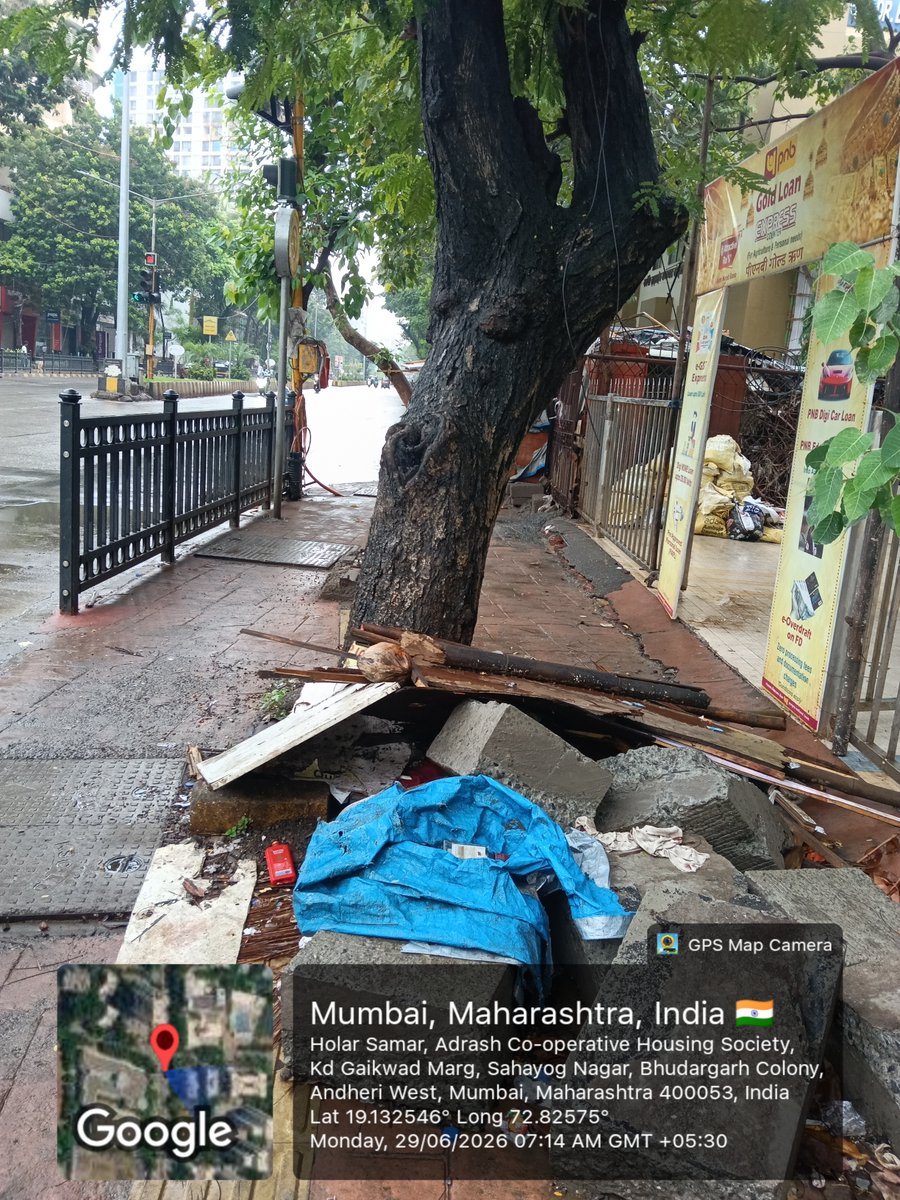 suhaskatti's tweet photo. #Mumbai: Concrete‑sealed tree beds weaken roots, turning fully grown trees into hazards.  Similar risks spotted in 4 Bungalows, Andheri W with geotagged pics.

@mybmc @mybmcwardKW @AmeetSatam @AndheriLOCA @zoru75 @walkingproject https://t.co/j5DjF5xG68