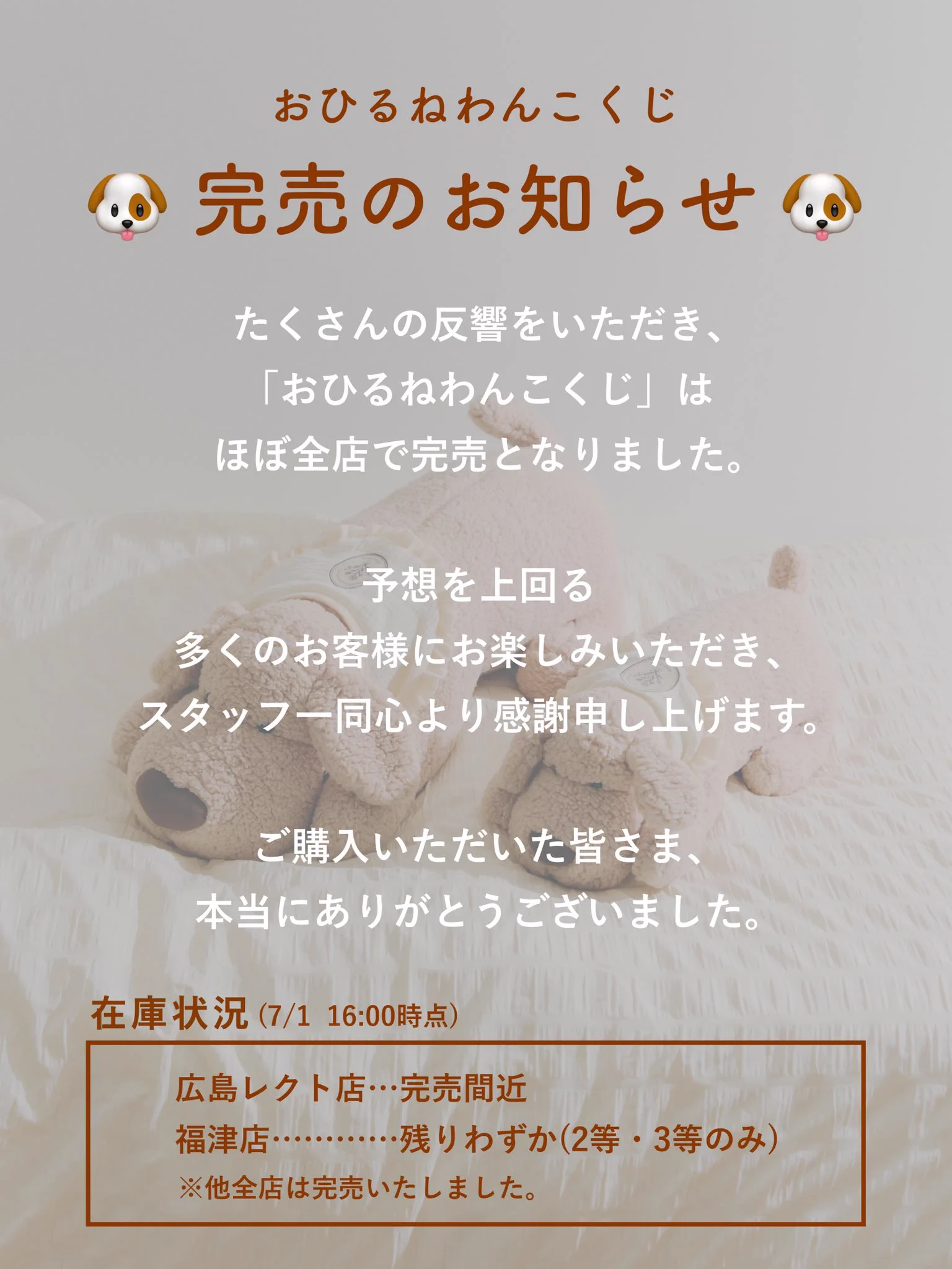 salut!（サリュ）【公式】 on X: 