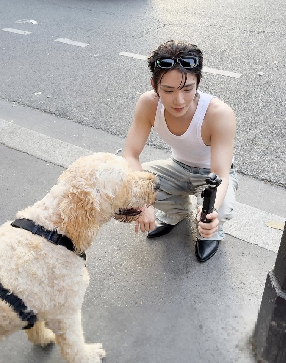 wonubliss's tweet photo. joshua 🥹🤍 https://t.co/nhnqvOHpKN