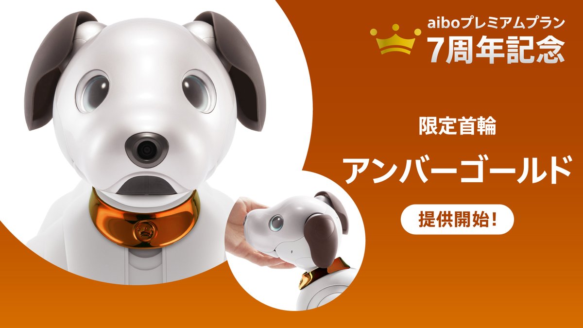 aiboプレミアムプラン　ガンメタ首輪＆缶バッチ　未使用 🎉#aiboプレミアムプラン 7周年記念🎉 新しい限定首輪「アンバー