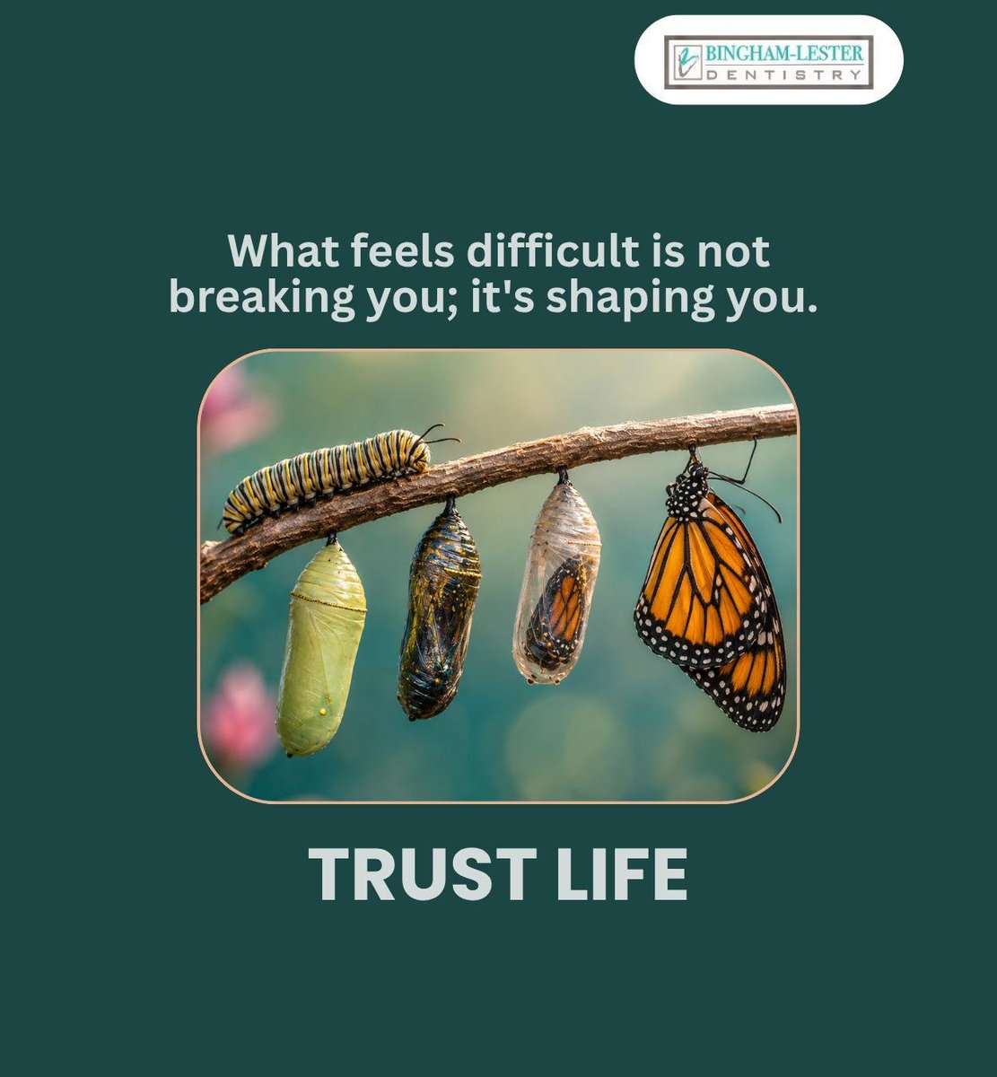 drvickii's tweet photo. When life puts pressure on you, it isn't trying to break you; it's simply teaching you patience and asking you to look for the strength that already lies within you.
.
.
.
.
#trusttheprocess #trustlife #embraceuncertainty #gambrills #crofton #MD #binghamlesterdentistry https://t.co/TY57AX6AaK