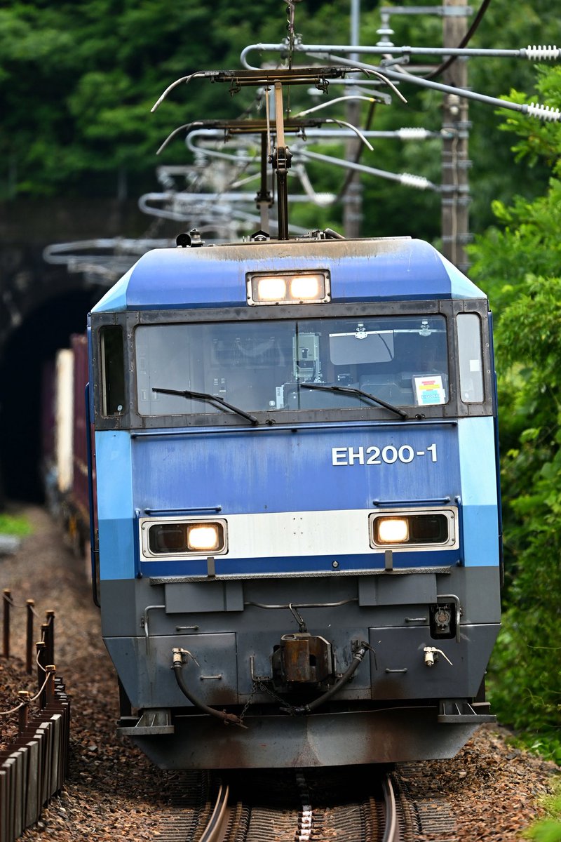 Chicken_actin's tweet photo. 26/06/21
81レ EH200-1 + コキ13両

EH200の灰色帯に関して901号機と1号機が太帯ですが、2号機以降の量産機は何故前面ステップから一段下げているんですかね。
前面ステップ横の養生の手間や側面の凹凸部の塗り分けを考えると太帯の方が色々と都合良さそうですが...🤔 https://t.co/N4X9BZb3KH