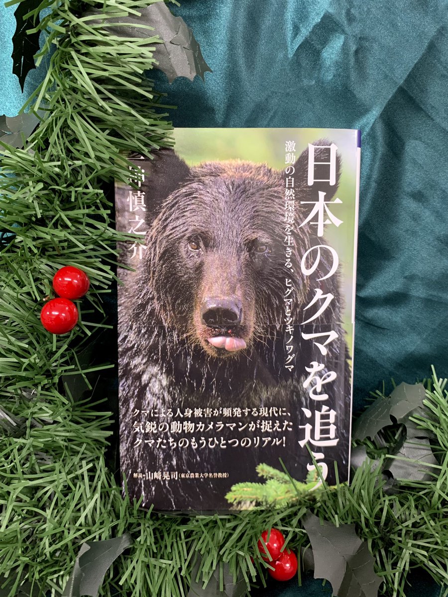 2階新書】 ⛰ヤマケイ新書 7月新刊のご案内🌳 本日ヤマケイ新書新刊