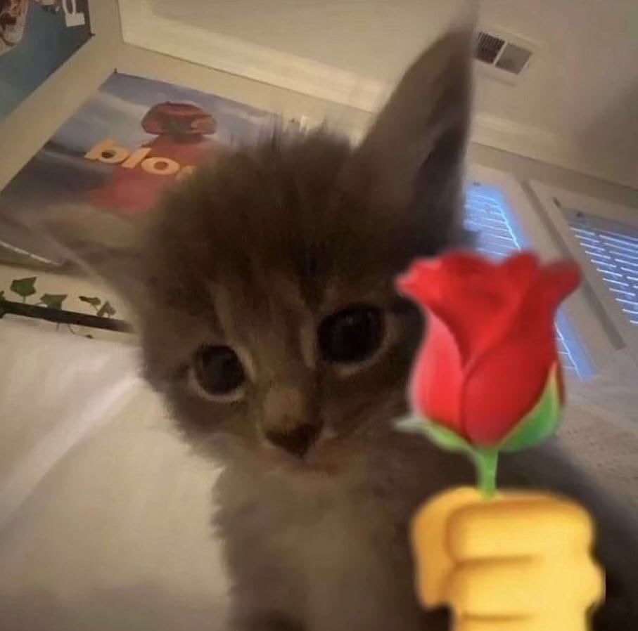 🍒 Lí 🍒 tweet media