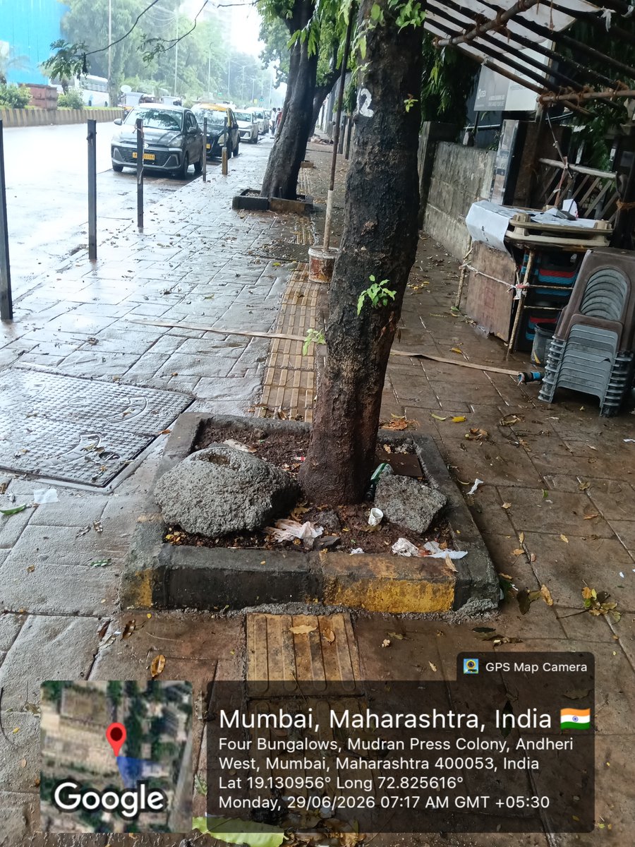 suhaskatti's tweet photo. #Mumbai: a schoolboy lost his life after a tree crash. Concrete‑sealed tree beds weaken roots, turning fully grown trees into hazards.  Similar risks spotted in 4 Bungalows, Andheri W with geotagged pics.
1/2

@mybmc @mybmcwardKW @AmeetSatam @AndheriLOCA @zoru75 @walkingproject https://t.co/iuS7riA8cY